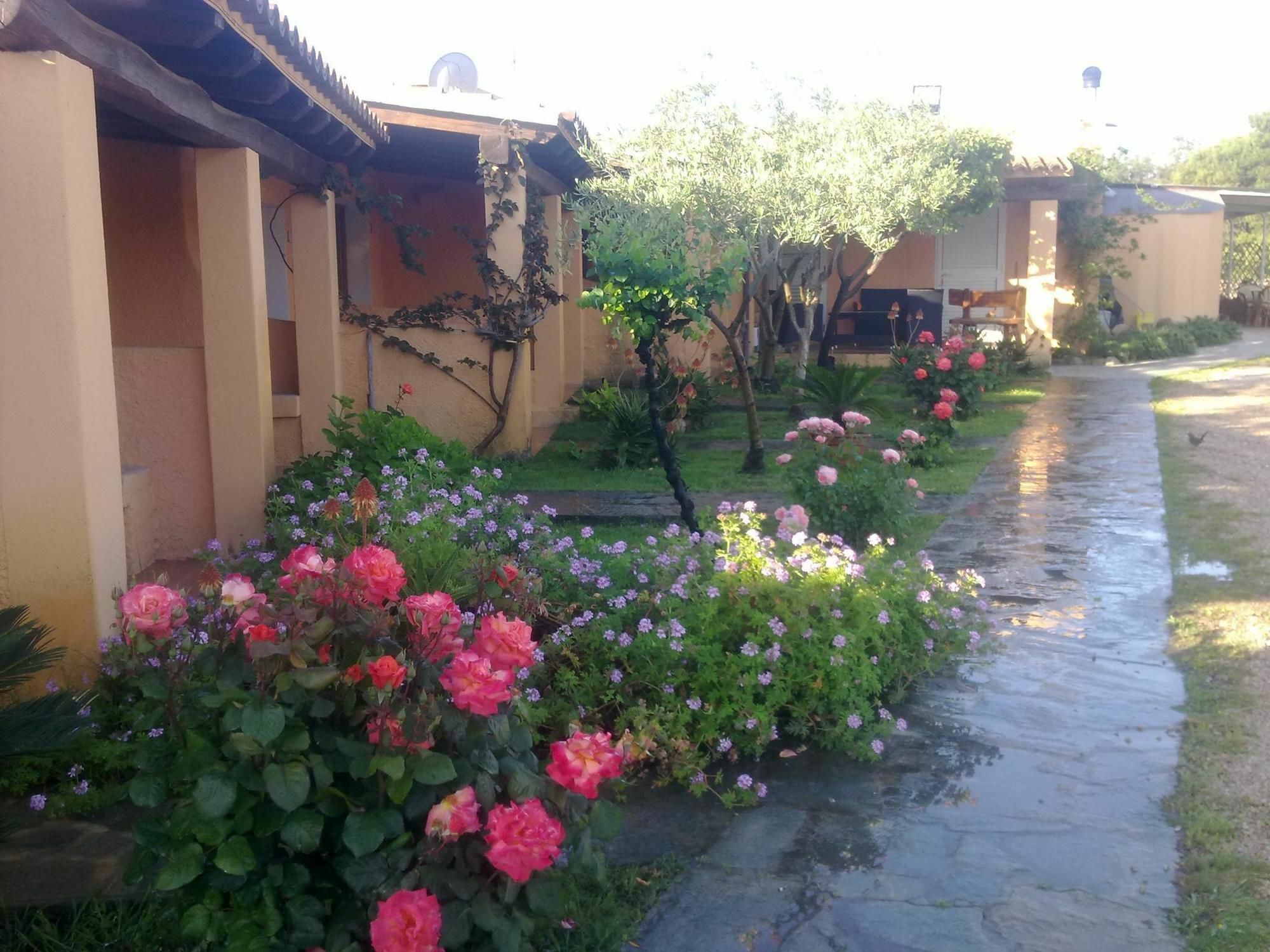 Residence La Pineta Budoni Bagian luar foto