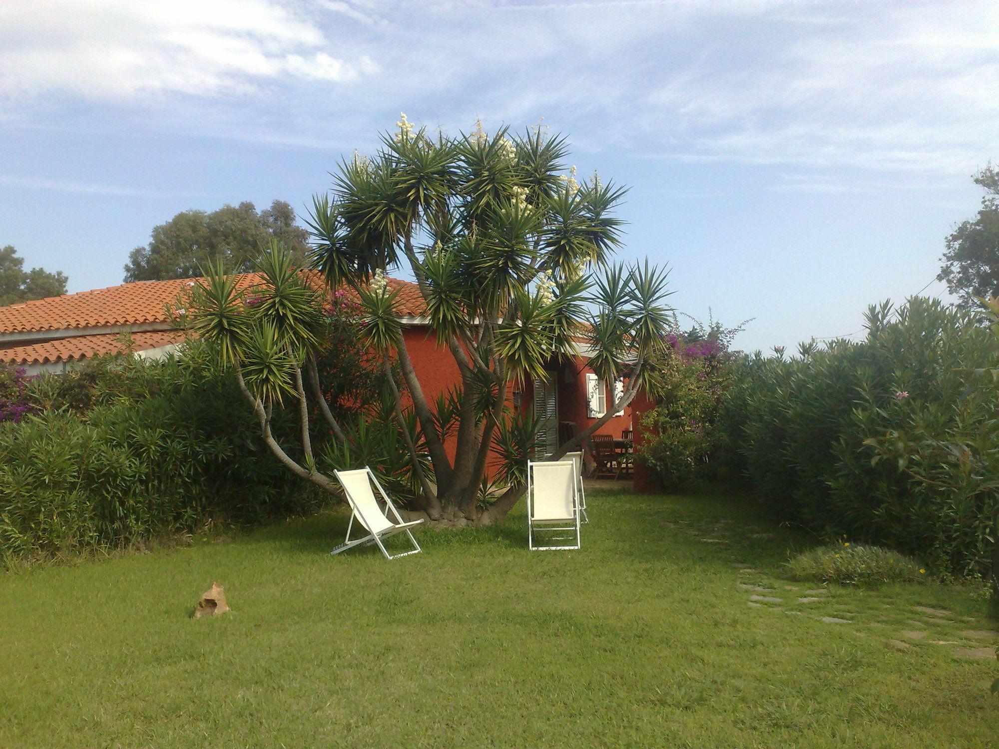 Residence La Pineta Budoni Bagian luar foto